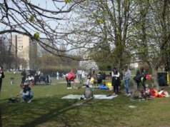 Zasady grillowania. Oto jak nie dostać 5 tys. zł kary