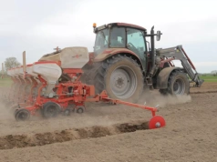 Sucho przed siewem kukurydzy i soi. Decyduje gleba, nie prognoza