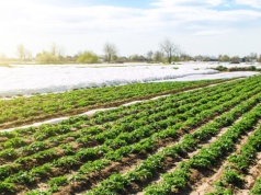 Wyższe limity i nowe terminy. Zmiany w Funduszu Ochrony Rolnictwa