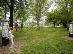 Baranówka jeszcze piękniejsza! Rusza kolejny etap tworzenia nowej strefy relaksu