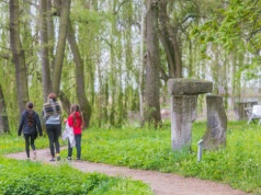 TOP 10 atrakcji przy trasie S7. Gdzie warto zjechać na przerwę między Grójcem a Szydłowcem?