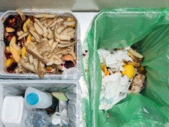 6 sposobów na czystsze środowisko. Matka Natura ci podziękuje