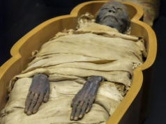 Iliada w mumii. Unikatowe odkrycie z Oksyrynchos