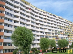 Seniorzy chcą windy, sąsiedzi mówią „nie”. Spór w bloku narasta