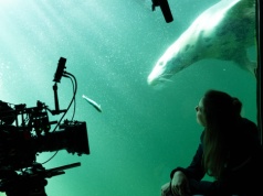 Opowieść o macierzyńskie i bałtyckich fokach. Historia, która porusza, ale niczego nie narzuca