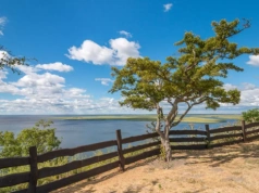 Na wyspach w Polsce powstanie nowa atrakcja. Widoki będą niezwykłe