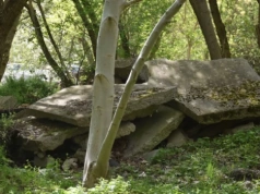 Zamiast betonowych płyt tętniący życiem park. Tak zmienia się teraz Gądów