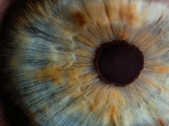 Dziedziczne choroby oczu wcale nie są takie pewne?