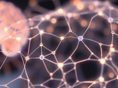 Krzemowa przeszłość. Naukowcy wydrukowali neurony zdolne do komunikacji z mózgiem