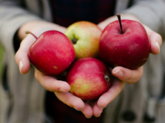 Polska chce zasypać Azję jabłkami. Jeśli się uda, sadownicy zarobią krocie