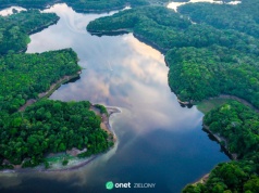 To, co dzieje się w Amazonii, nie zostanie w Amazonii. Konsekwencje odczuje cały świat