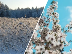 Drastyczna zmiana pogody. W Polsce może sypnąć śniegiem