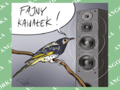 Odtwarzanie śpiewu zamiast natury. Naukowcy ratują rzadkiego ptaka