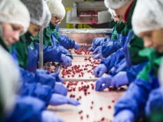 Masowy wyjazd Ukraińców po wojnie mógłby uderzyć w polską gospodarkę