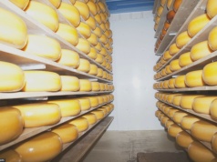 Polska drugą Szwajcarią? Padł rekord, nasze sery zdobyły 24 prestiżowe nagrody