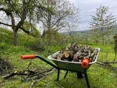 Wiosna 2026: Palenie gałęzi w ogrodzie zakazane. Mandat nawet 5000 zł