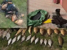 Pijany pasażer i sieci w plecaku. Podwójna wpadka kłusowników