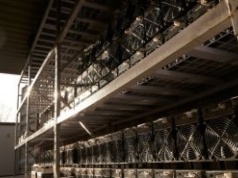 290 mln dolarów w kryptowalutach. Największa taka kradzież w tym roku