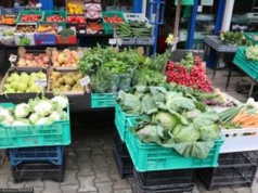 "Sprawdził się koszmarny sen importerów". Oto ceny nowalijek