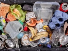 Częsty błąd w segregacji. Nie każdy wie, gdzie to wyrzucić