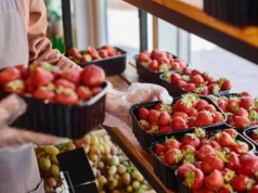 Rumba, Falco, Malwina - to imiona polskich truskawek. Wiemy, kiedy pojawią się na straganach