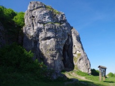 Neandertalczycy z Jaskini Stajnia. Udało się zdobyć mDNA wielu mieszkających tam osób