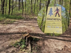 Nowa atrakcja dla aktywnych w Rzeszowie. Trwają prace w lesie na Słocinie