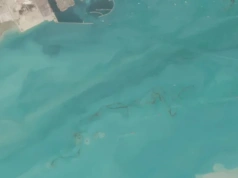 Katastrofa widoczna z kosmosu. Eksperci biją na alarm