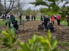 Stellantis posadził 700 drzew w Katowicach. Na osiedlu Witosa powstał kolejny las kieszonkowy