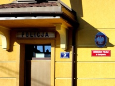 Poszukiwany przed policją uciekł na drzewo