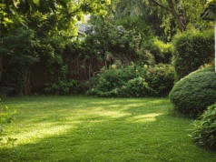 Twój ogród jest zacieniony? Te rośliny będą w nim bujnie rosły