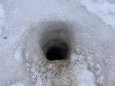 Świstaki obudziły się po zimie i wyszły z nor. TPN apeluje!