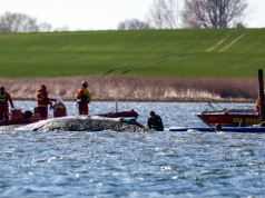Wieloryb Timmy w poważnych opałach. Poziom wody drastycznie spadł
