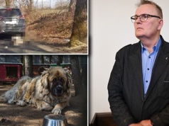 Pies zmarł ciągnięty za autem przez senatora PiS, Waldemara Bonkowskiego. Sąd darował mu karę