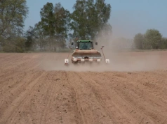 „Kukurydza może nie wzejść, rzepak jak zapałka”. Susza już niszczy uprawy