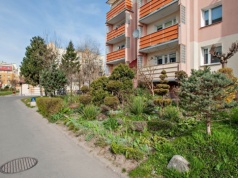 Mieszkańcy: Pielęgnowaliśmy to trzydzieści lat, teraz spółdzielnia każe wszystko usunąć