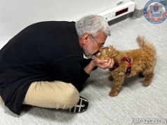 Porwanie psów za milion franków. Akt oskarżenia w głośnej sprawie ze Szczecina