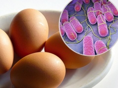 Salmonella to groźna bakteria nie tylko z żywności. Takie są objawy zatrucia Salmonellą