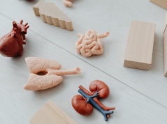 Eksperci apelują o globalny system przeszczepów serca. Celem jest zmniejszenie śmiertelności