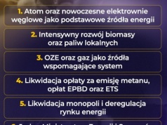 Tak trzeba zreformować polską energetykę!