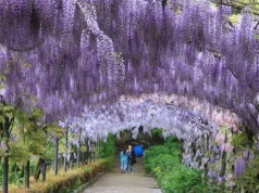 Ten ogród ściąga turystów z całej Europy. Zobacz tę wyjątkową atrakcję