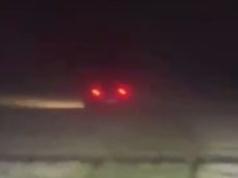 Uciekał przed policją. Ugrzązł w polu