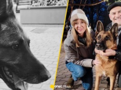 Smutna wiadomość z planu "Na Wspólnej". "Odpoczywaj, Druhu"