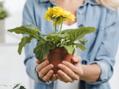 Po wypożyczalni nasion i narzędzi w Bibliotece Cisowa przyszedł czas na… hotel dla roślin