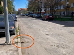 Apel mieszkanki osiedla Zosinek do kierowców - uważajcie na jeże! One giną pod kołami!