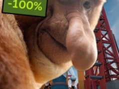 Chcesz kolejną grę PC za darmo? SurrounDead Poly Construction czeka na Steam!