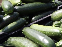 Nie każda cukinia jest bezpieczna. Z dnia na dzień może stać się toksyczna! Ważny jest szczegół