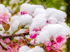 Najgorsza majówka od lat. Cała Polska będzie biała?