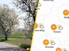 Jedno zjawisko popsuje nam dziś pogodę. Mamy najnowsze prognozy