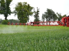 Jak utrzymać wysoką produktywność zbóż w Polsce? Innowacje w ochronie T1